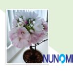 Thumbnail of post image 145