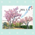 Thumbnail of post image 054